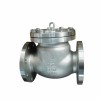 Swing Type Check Valve