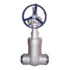 Pressure Seal Gate Valve