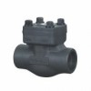 check valve