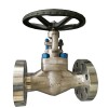 globe valve