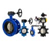 CAST IRON BUTTERFLY VALVE