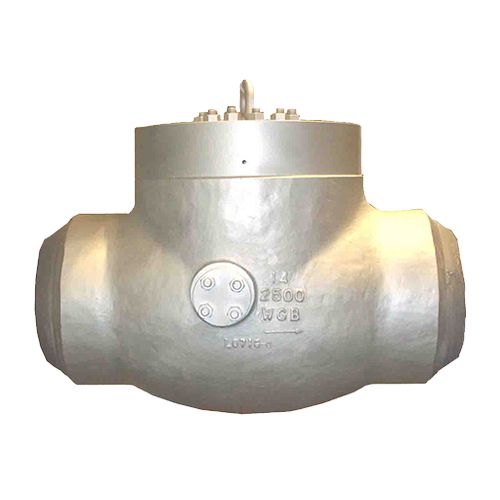 Pressure Seal Check Valve