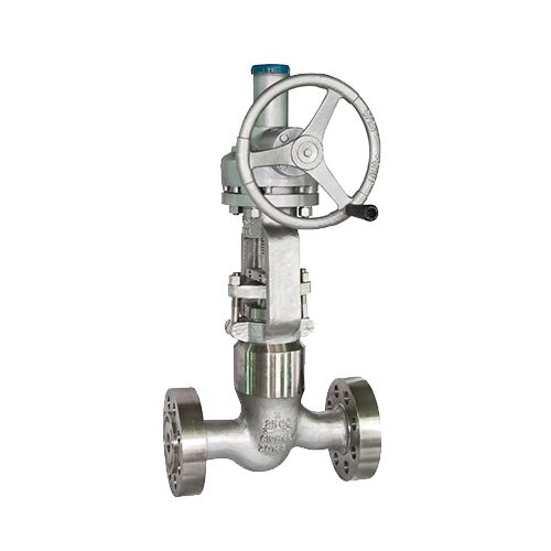 Pressure Seal Globe Valve